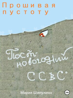cover image of Прошивая пустоту. Постновогодний ССВС